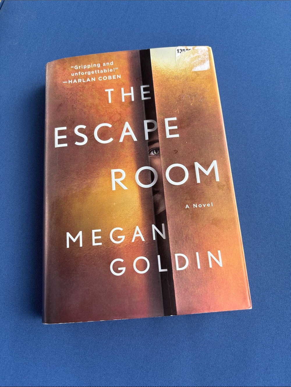 The Escape Room by Megan Goldin